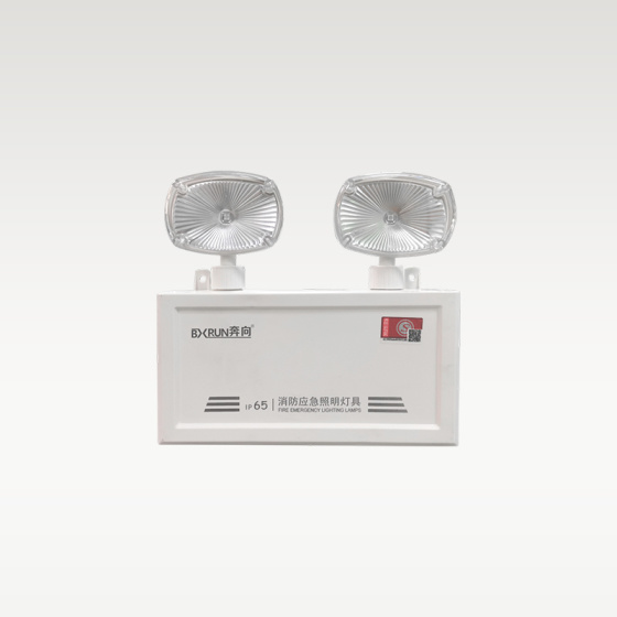 集控型 250全塑防水双头灯(集电/自电)